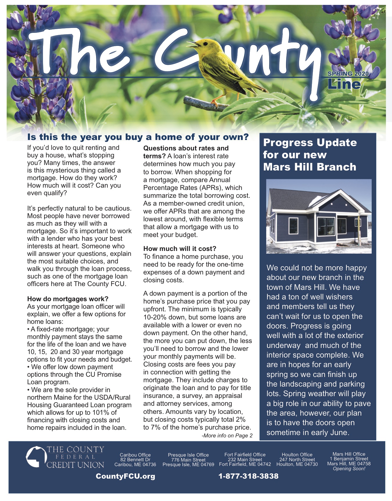 The County Line Newsletter - County Fcu